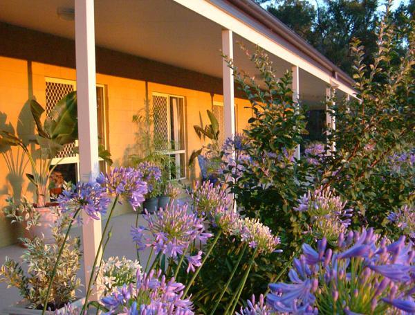 Wallaby Ridge Retreat Маунт Тамборин Екстериор снимка