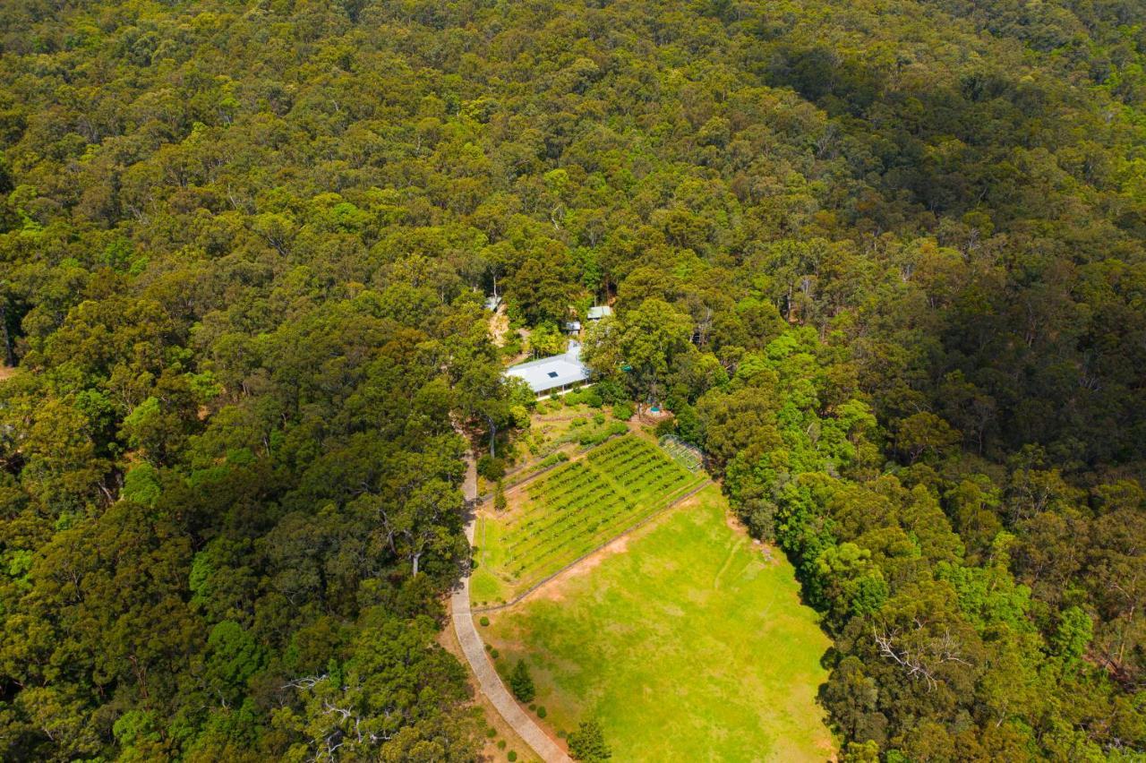 Wallaby Ridge Retreat Маунт Тамборин Екстериор снимка