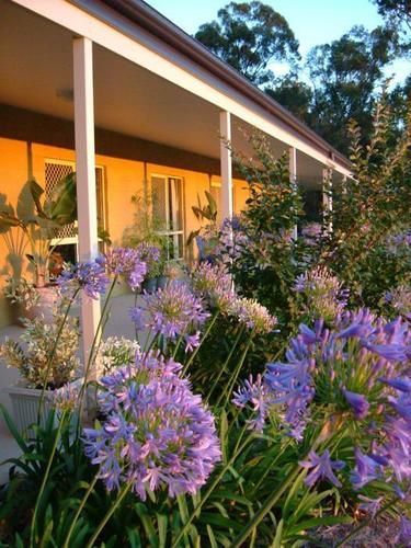 Wallaby Ridge Retreat Маунт Тамборин Екстериор снимка